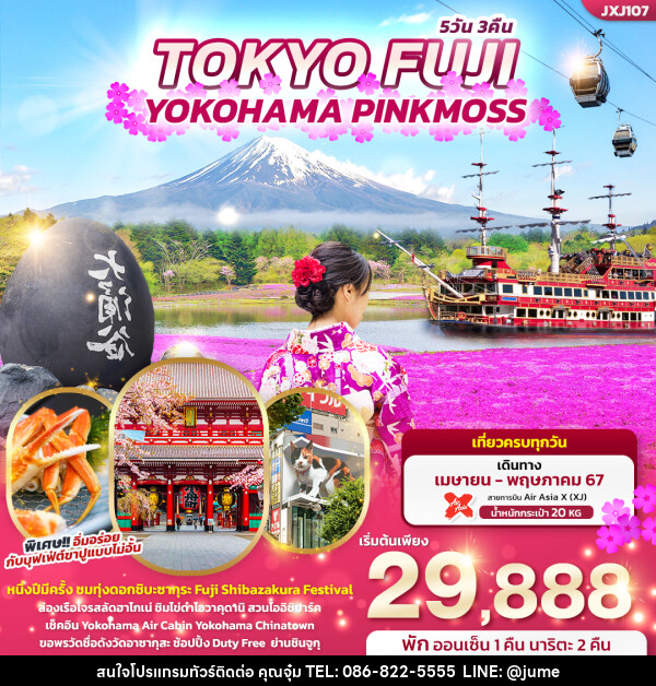 ทัวร์ญี่ปุ่น TOKYO FUJI YOKOHAMA PINKMOSS  - บริษัท มิรันตีทริป จำกัด