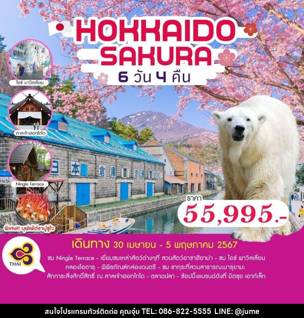 ทัวร์ญี่ปุ่น HOKKAIDO SAKURA - บริษัท มิรันตีทริป จำกัด