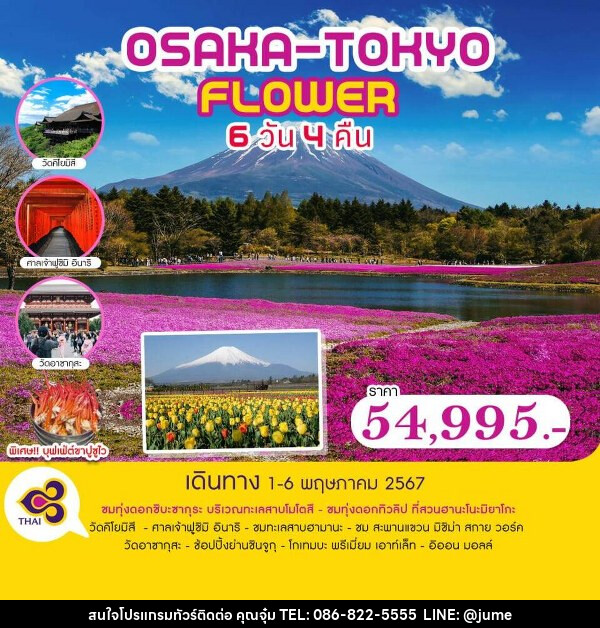 ทัวร์ญี่ปุ่น OSAKA-TOKYO FLOWER - บริษัท มิรันตีทริป จำกัด