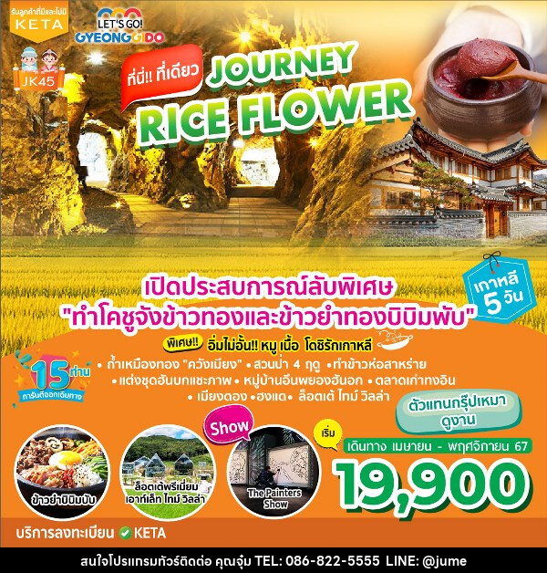 ทัวร์เกาหลี Journey Rice Flower - บริษัท มิรันตีทริป จำกัด