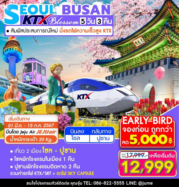 ทัวร์เกาหลี KTX Seoul Busan Blossom - บริษัท มิรันตีทริป จำกัด