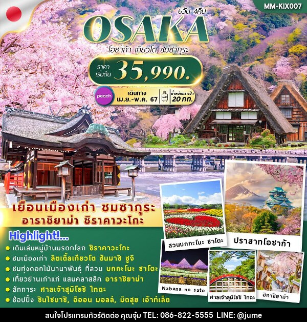 ทัวร์ญี่ปุ่น OSAKA KYOTO SAKURA FREEDAY  - บริษัท มิรันตีทริป จำกัด