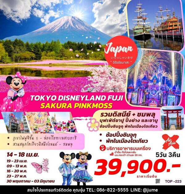 ทัวร์ญี่ปุ่น TOKYO DISNEYLAND  FUJI SAKURA PINKMOSS - บริษัท มิรันตีทริป จำกัด