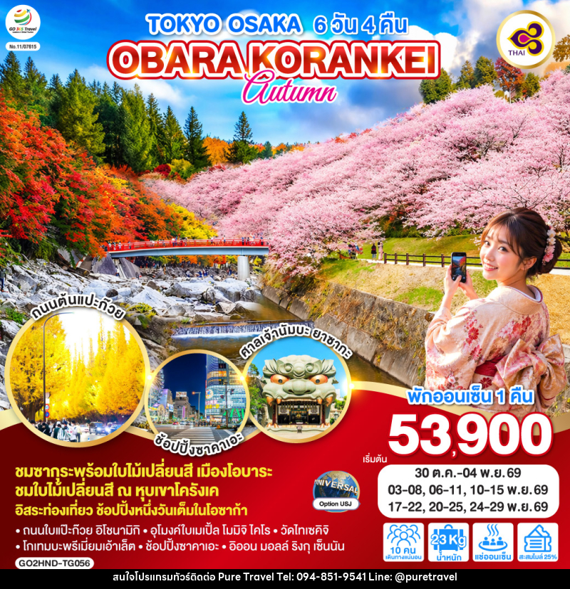 ทัวร์ญี่ปุ่น TOKYO OSAKA OBARA KORANKEI AUTUMN - บริษัท เพียว ทราเวล จำกัด