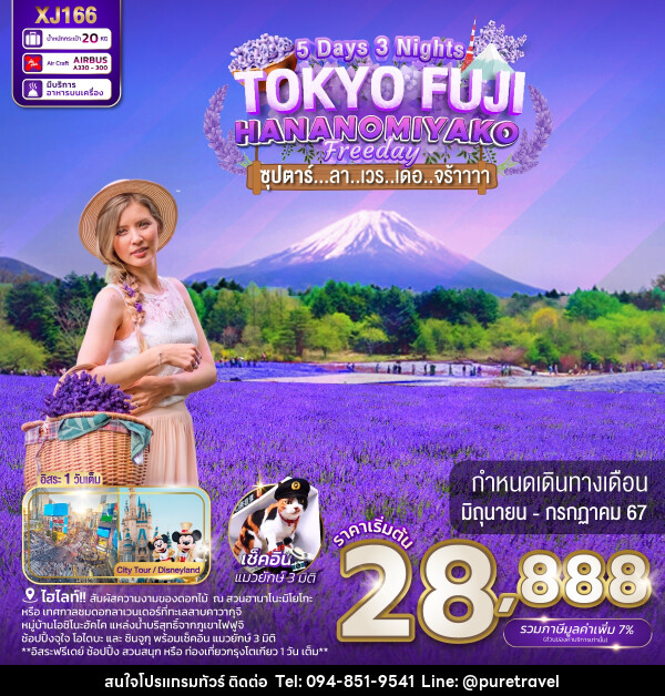 ทัวร์ญี่ปุ่น TOKYO FUJI HANANOMIYAKO FREEDAY - บริษัท เพียว ทราเวล จำกัด