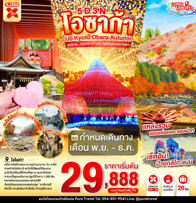 ทัวร์ญี่ปุ่น OSAKA UJI KYOTO OBARA AUTUMN - บริษัท เพียว ทราเวล จำกัด