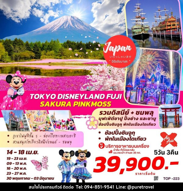 ทัวร์ญี่ปุ่น TOKYO DISNEYLAND  FUJI SAKURA PINKMOSS - บริษัท เพียว ทราเวล จำกัด