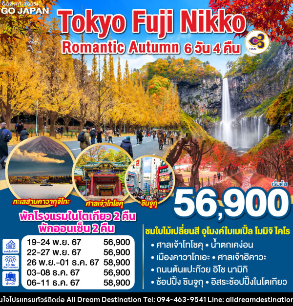 ทัวร์ญี่ปุ่น TOKYO FUJI NIKKO ROMANTIC AUTUMN - บริษัทฮิวแมน เน็กซ์ จำกัด