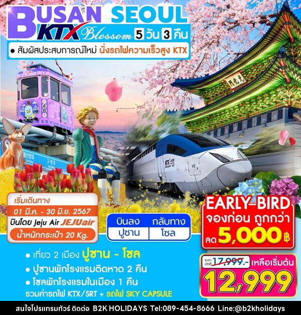 ทัวร์เกาหลี BUSAN SEOUL  - B2K HOLIDAYS
