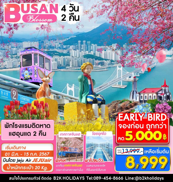 ทัวร์เกาหลี ปูซาน Blossom - B2K HOLIDAYS