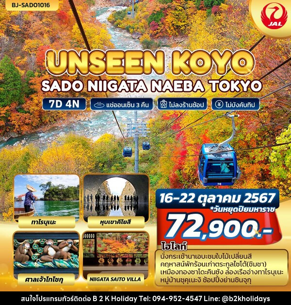 ทัวร์ญี่ปุ่น TOKYO FUJI KAMIKOCHIUNSEEN KOYO SADO NIIGATA NAEBA TOKYO - B2K HOLIDAYS