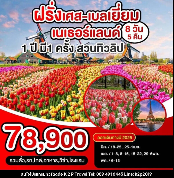 ทัวร์ยุโรป ฝรั่งเศส  เบลเยี่ยม เนเธอแลนด์ 1 ปี มี 1 ครั้ง สวนทิวลิป - K2P TRAVEL CO.,LTD.