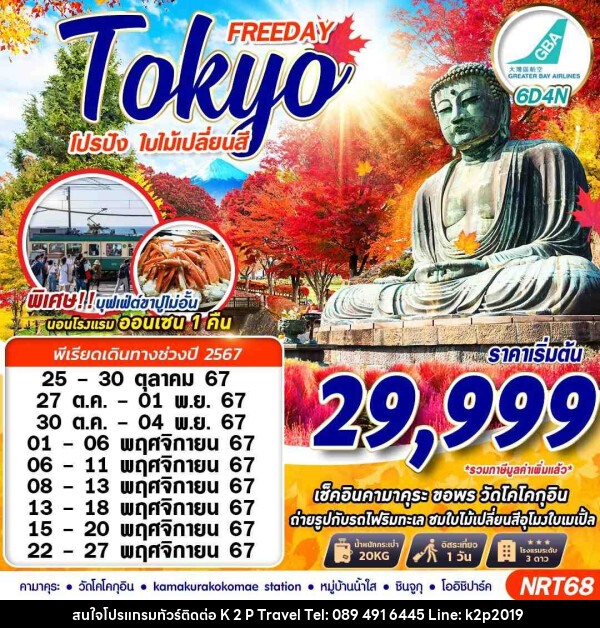 ทัวร์ญี่ปุ่น TOKYO AUTUMN โปรปัง ใบไม้เปลี่ยนสี (FREEDAY) - K2P TRAVEL CO.,LTD.