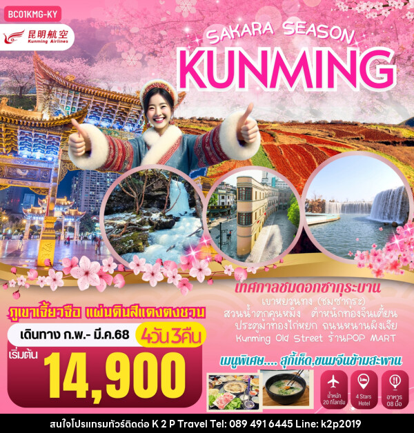 ทัวร์จีน SAKURA SEASON KUNMING คุนหมิง ภูเขาหิมะเจี้ยวจื่อ แผ่นดินสีแดงตงชวน - K2P TRAVEL CO.,LTD.