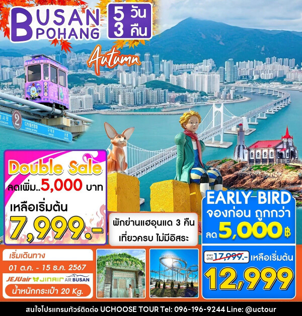 ทัวร์เกาหลี BUSAN POHANG AUTUMN - UCHOOSE TOUR