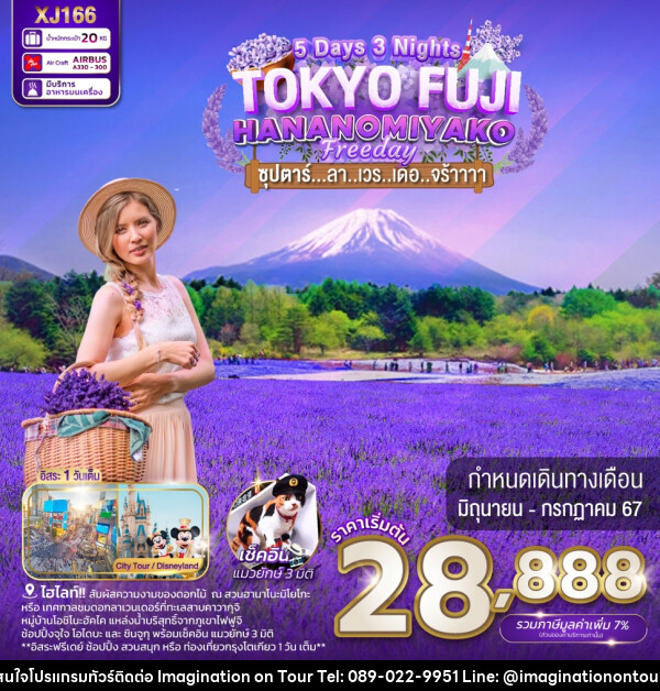 ทัวร์ญี่ปุ่น TOKYO FUJI HANANOMIYAKO FREEDAY - บริษัท อิมเมทจิเนชั่น ซัคเซส จำกัด