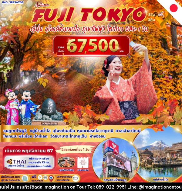 ทัวร์ญี่ปุ่น FUJI TOKYO ญี่ปุ่น อุโมงค์ต้นเมเปิ้ล ภูเขาไฟฟูจิ โตเกียว อิสระ 1 วัน - บริษัท อิมเมทจิเนชั่น ซัคเซส จำกัด