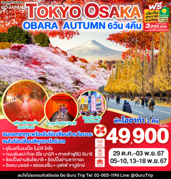 ทัวร์ญี่ปุ่น TOKYO OSAKA OBARA AUTUMN - บริษัท กูรูทริป จำกัด