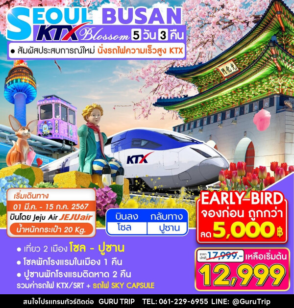 ทัวร์เกาหลี KTX Seoul Busan Blossom - บริษัท กูรูทริป จำกัด