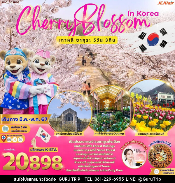 ทัวร์เกาหลี Cherry Blossom in Korea - บริษัท กูรูทริป จำกัด