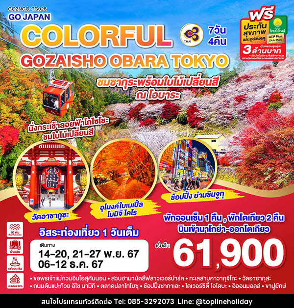 ทัวร์ญี่ปุ่น COLORFUL GOZAISHO KORANKEI TOKYO - ห้างหุ้นส่วนจำกัด ทอปไลน์ ฮอลิเดย์