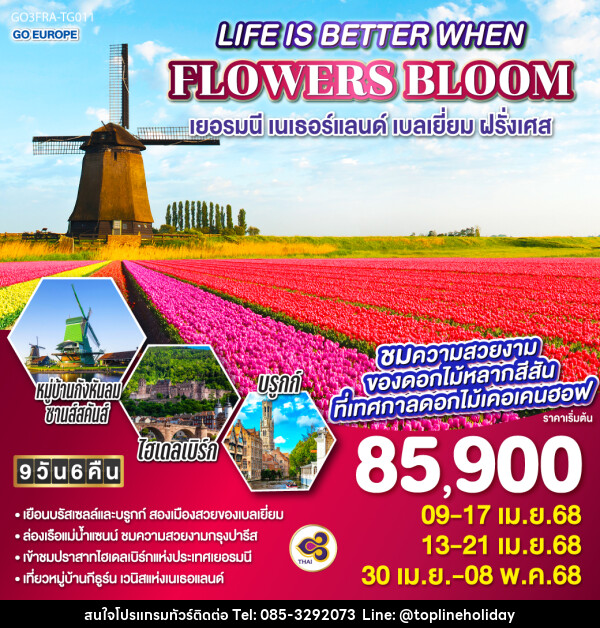 ทัวร์ยุโรป LIFE IS BETTER WHEN FLOWERS BLOOM เยอรมนี เนเธอร์แลนด์ เบลเยี่ยม ฝรั่งเศส - ห้างหุ้นส่วนจำกัด ทอปไลน์ ฮอลิเดย์