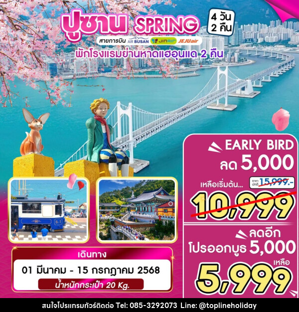 ทัวร์เกาหลี ปูซาน SPRING - ห้างหุ้นส่วนจำกัด ทอปไลน์ ฮอลิเดย์