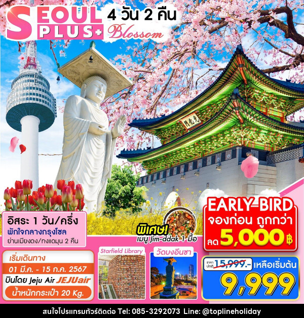 ทัวร์เกาหลี SEOUL PLUS+ Blossom - ห้างหุ้นส่วนจำกัด ทอปไลน์ ฮอลิเดย์