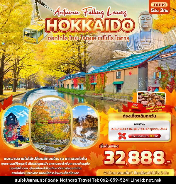 ทัวร์ญี่ปุ่น Hokkaido Autumn Falling Leaves  ฮอกไกโด โทยะ โจซังเค ซัปโปโร โอตารุ  - NATNARA TRAVEL FRANCHISE