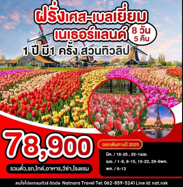 ทัวร์ยุโรป ฝรั่งเศส  เบลเยี่ยม เนเธอแลนด์ 1 ปี มี 1 ครั้ง สวนทิวลิป - NATNARA TRAVEL FRANCHISE