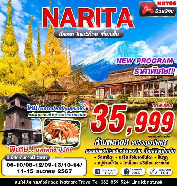 ทัวร์ญี่ปุ่น TOKYO ดีลแรง ใบแปะก๊วย  - NATNARA TRAVEL FRANCHISE