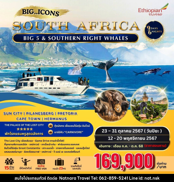 ทัวร์แอฟริกาใต้ SOUTH AFRICA BIG 5 & SOUTHERN RIGHT WHALES - NATNARA TRAVEL FRANCHISE