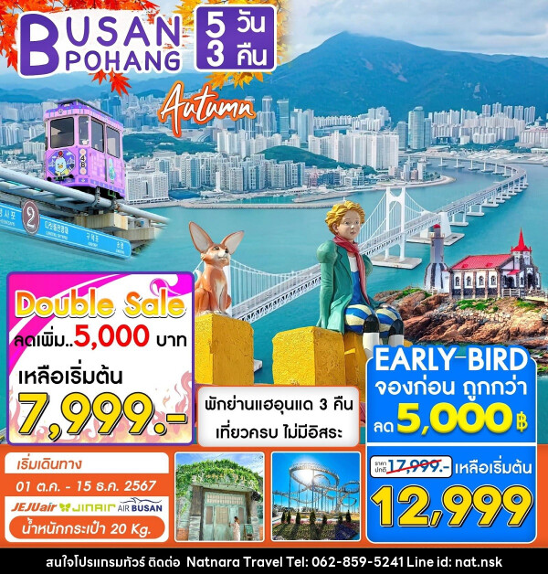 ทัวร์เกาหลี BUSAN POHANG AUTUMN - NATNARA TRAVEL FRANCHISE