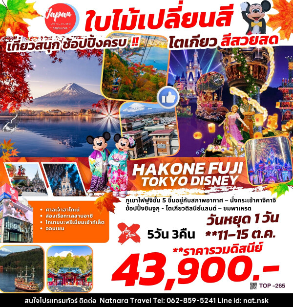 ทัวร์ญี่ปุ่น ใบไม้เปลี่ยนสี เที่ยวสนุก ช้อปปิ้งครบ โตเกียว สีสวยสุด - NATNARA TRAVEL FRANCHISE