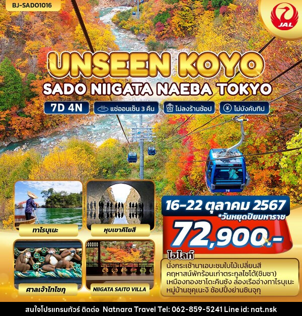 ทัวร์ญี่ปุ่น TOKYO FUJI KAMIKOCHIUNSEEN KOYO SADO NIIGATA NAEBA TOKYO - NATNARA TRAVEL FRANCHISE