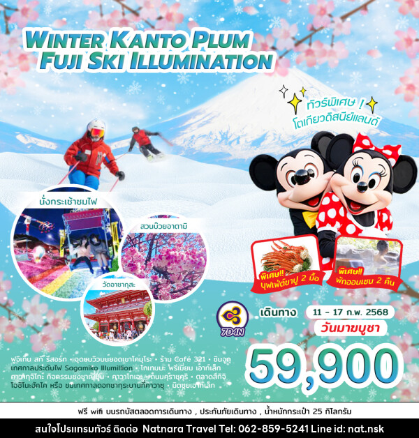 ทัวร์ญี่ปุ่น WINTER KANTO PLUM FUJI SKI ILLUMINATION  - NATNARA TRAVEL FRANCHISE