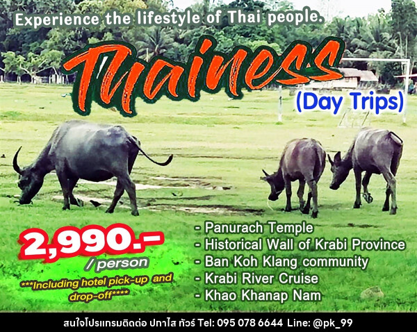 แพ็คเกจทัวร์กระบี่ Thainess Day Trips - ห้างหุ้นส่วนจำกัด ปกาไส ทัวร์