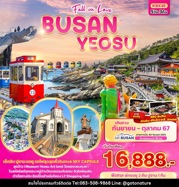 ทัวร์เกาหลี Fall in love BUSAN YEOSU  - GO TO NATURE