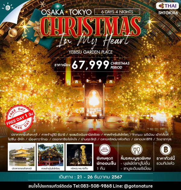 ทัวร์ญี่ปุ่น OSAKA TOKYO CHRISTMAS IN MY HEART  - GO TO NATURE