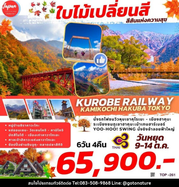 ทัวร์ญี่ปุ่น KUROBE RAILWAY KAMIKOCHI HAKUBA TOKYO - GO TO NATURE