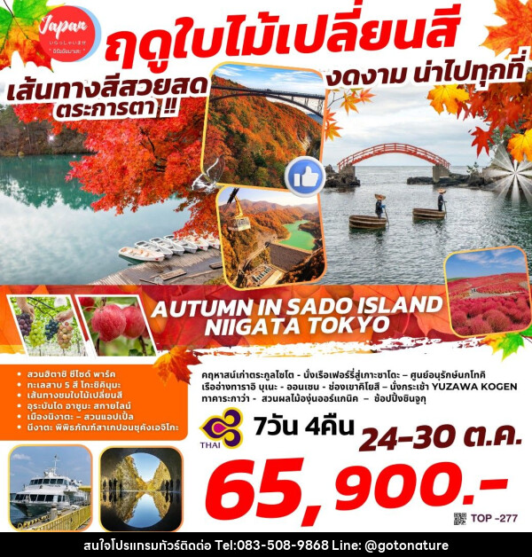 ทัวร์ญี่ปุ่น AUTUMN IN SADO ISLAND – NIIGATA TOKYO - GO TO NATURE