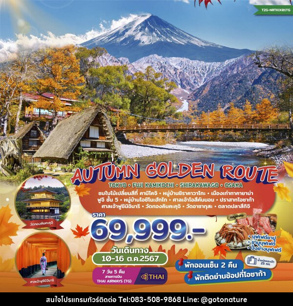 ทัวร์ญี่ปุ่น Autumn Golden Route...Tokyo Fuji Kamikochi Shirakawago Osaka  - GO TO NATURE