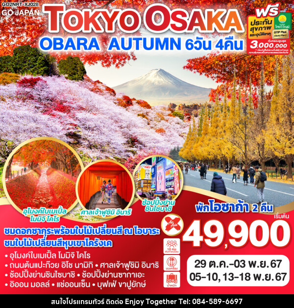 ทัวร์ญี่ปุ่น TOKYO OSAKA OBARA AUTUMN - บริษัท เอนจอย ทูเกเตอร์ จำกัด