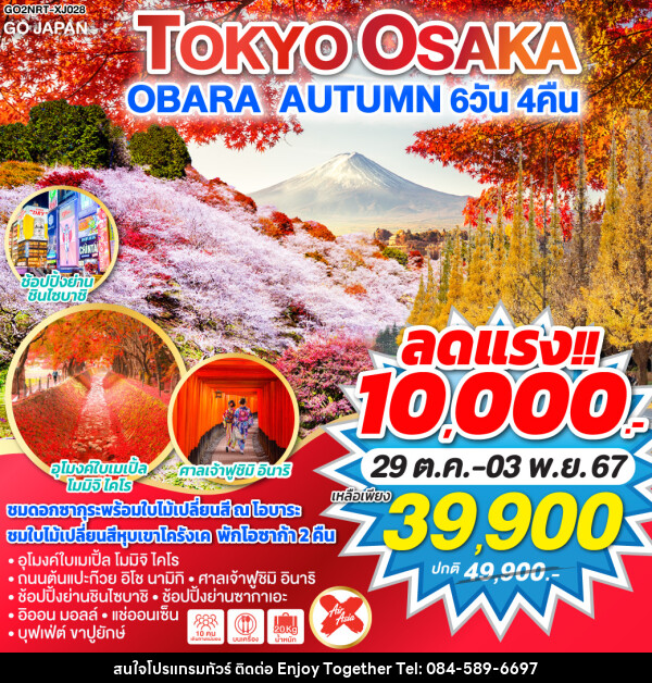 ทัวร์ญี่ปุ่น TOKYO OSAKA OBARA AUTUMN - บริษัท เอนจอย ทูเกเตอร์ จำกัด