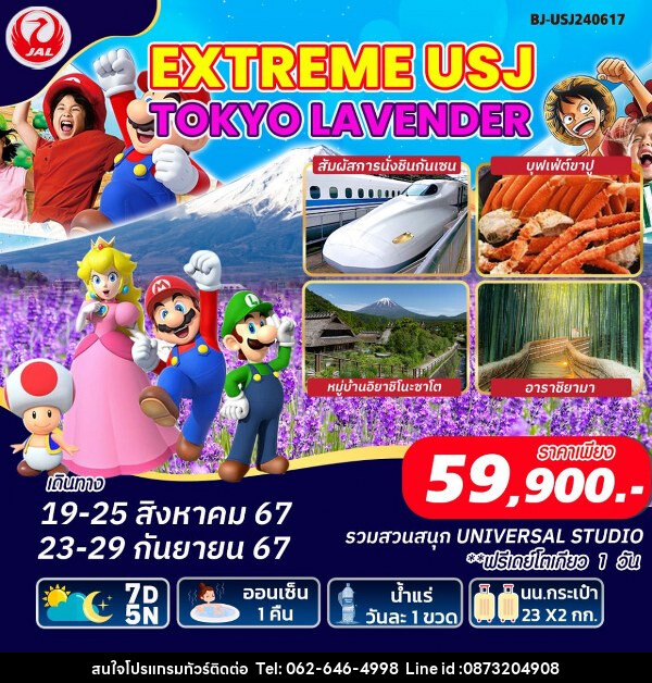 ทัวร์ญี่ปุ่น EXTREME USJ TOKYO LAVENDER - บริษัท มาย เมนเนจ ทราเวล