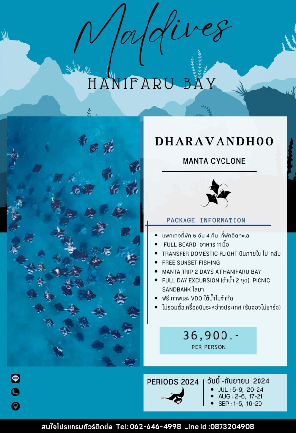 แพ็คเกจทัวร์มัลดีฟส์ HANIFARU BAY - บริษัท มาย เมนเนจ ทราเวล