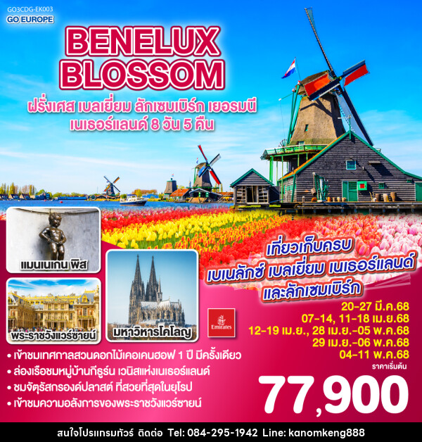 ทัวร์ยุโรป BENELUX BLOSSOM ฝรั่งเศส เบลเยี่ยม ลักเซมเบิร์ก  เยอรมนี เนเธอร์แลนด์ - Tnews Organize