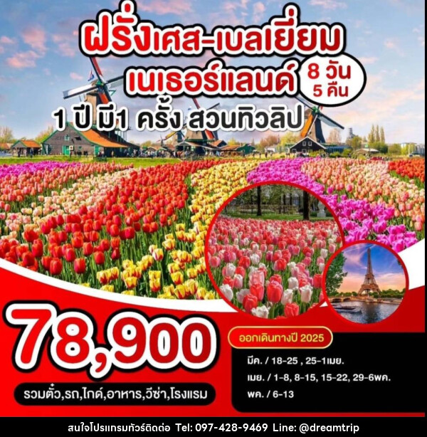 ทัวร์ยุโรป ฝรั่งเศส  เบลเยี่ยม เนเธอแลนด์ 1 ปี มี 1 ครั้ง สวนทิวลิป - แฮ้ปปี้ดรีมทริป