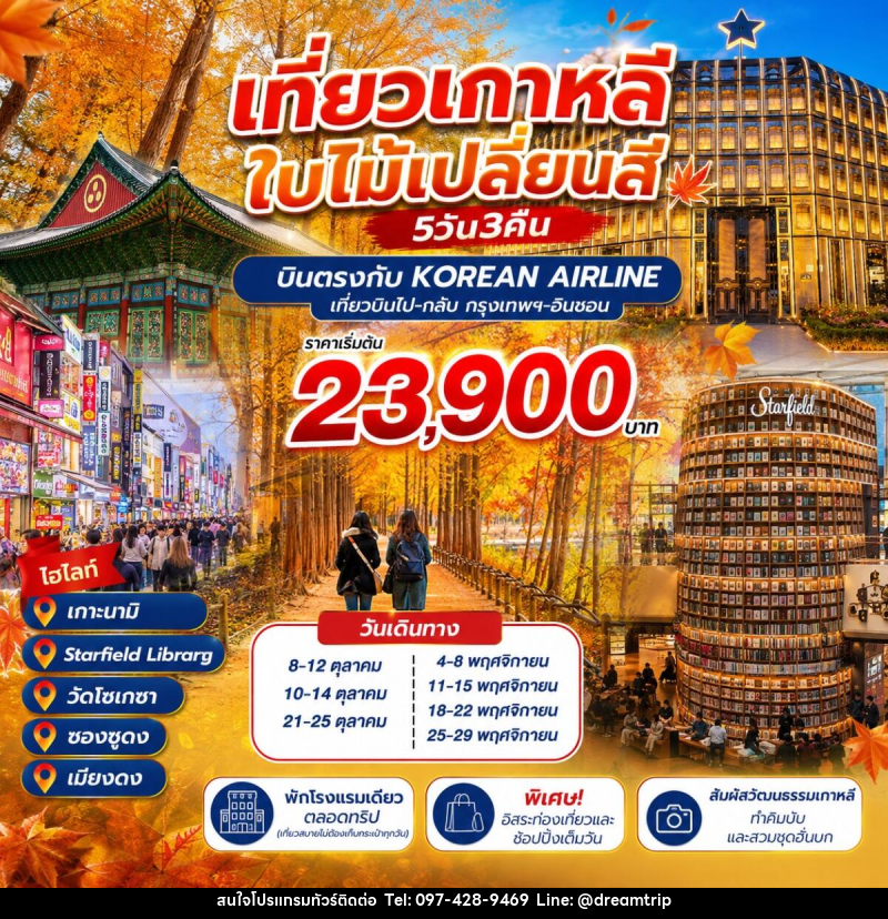 ทัวร์เกาหลี ชมใบไม้เปลี่ยนสี - แฮ้ปปี้ดรีมทริป
