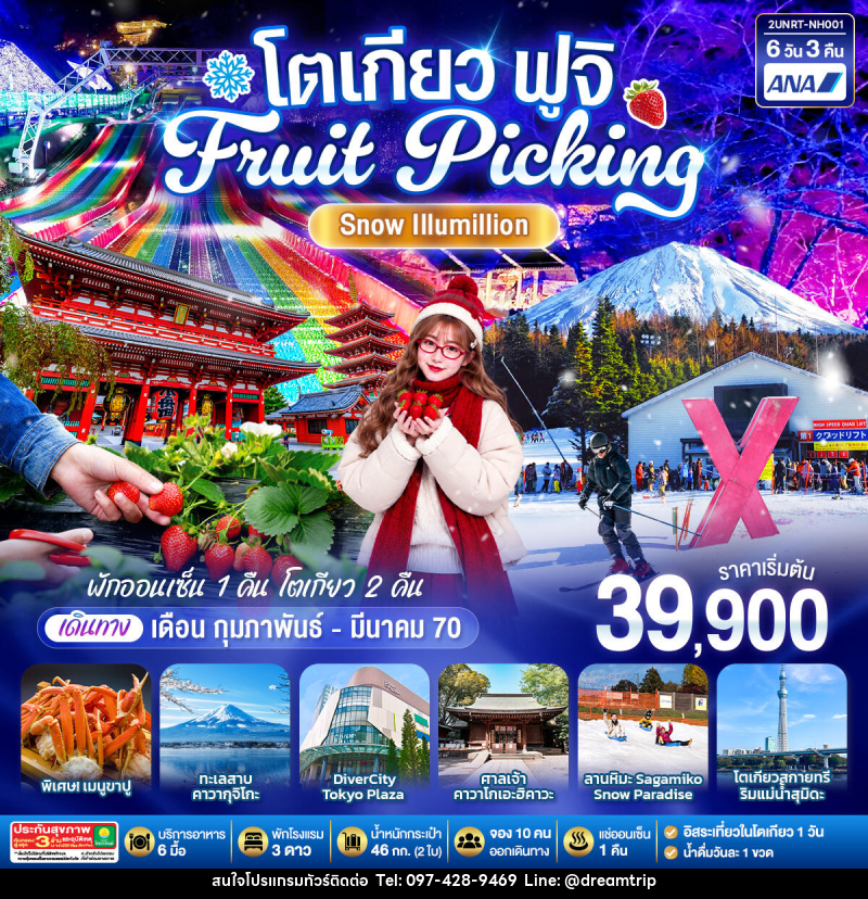 ทัวร์ญี่ปุ่น โตเกียว ฟูจิ FRUIT PICKING SNOW Illumillion - แฮ้ปปี้ดรีมทริป